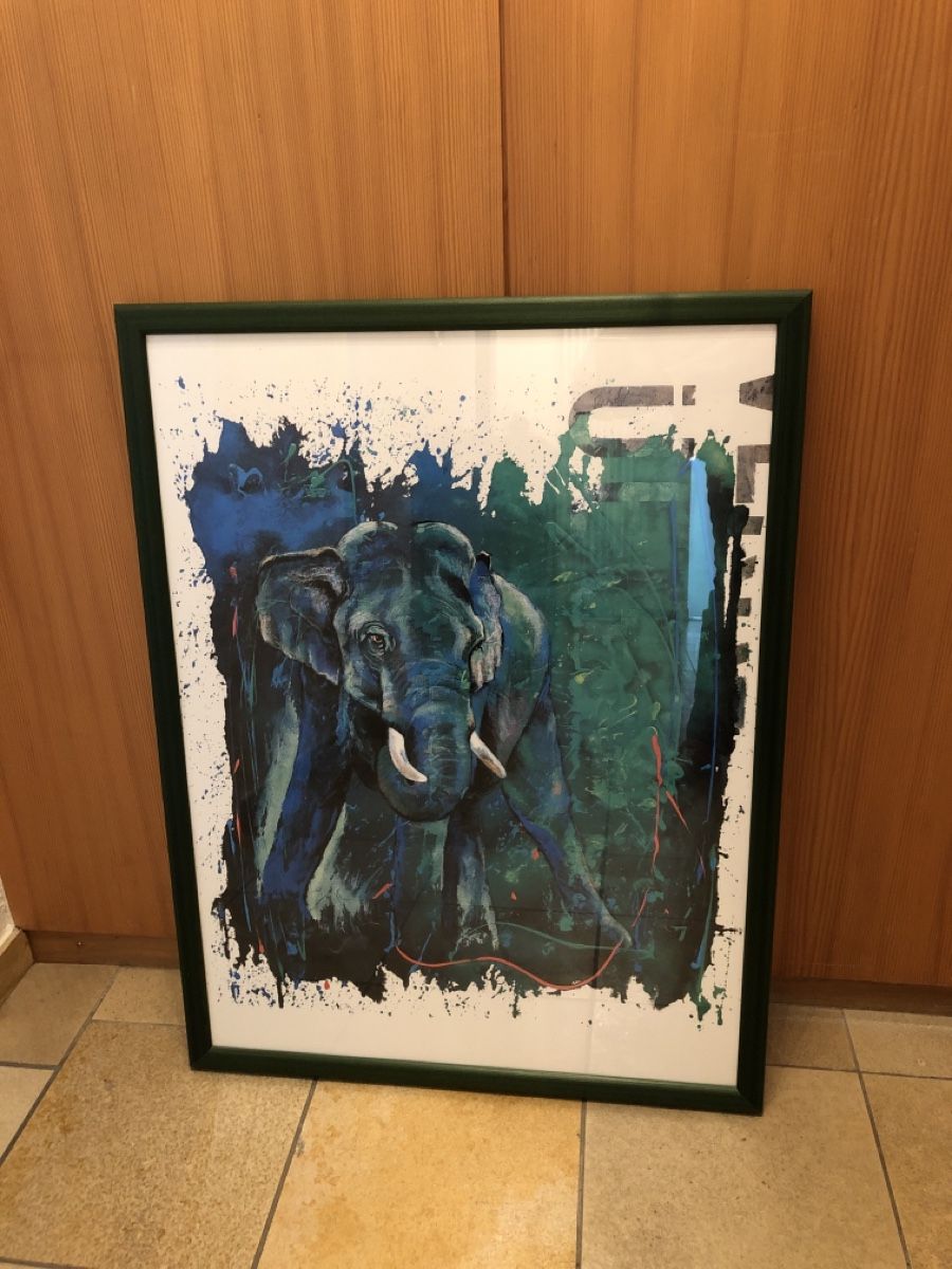 Poster & Bilder: Bild mit Elefant – Gebraucht aus Gränichen von SabineZ01
