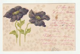 Postkarte Zwei Dunkle Mohnblumen Glitzer Verziert 1901