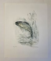 Willy Eugen Bär  Litho. Nr. handsign. Tier-Motiv,  50x40cm