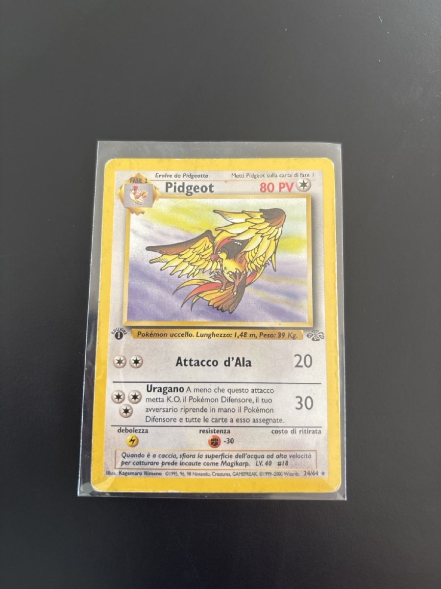Pokémon Sammelbilder & Trading cards: Pokémon Pidgeot 24/64 Jungle 1 Edition Ab 1! – Gebraucht aus Caslano von Luke_