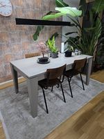 Designer Ausziehtisch  Rigo Farbe Nerz
