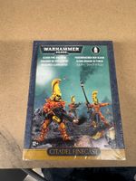 Warhammer 40’000 – Eldar Fire Dragons(Citadel Finecast, OVP)