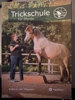 Trickschule für Pferde