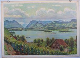 ⭐⭐⭐Schulwandbild „Zürichseelandschaft“ – Fritz Zbinden