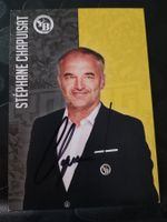 Stéphane Chapuisat - YB  - handsigniert