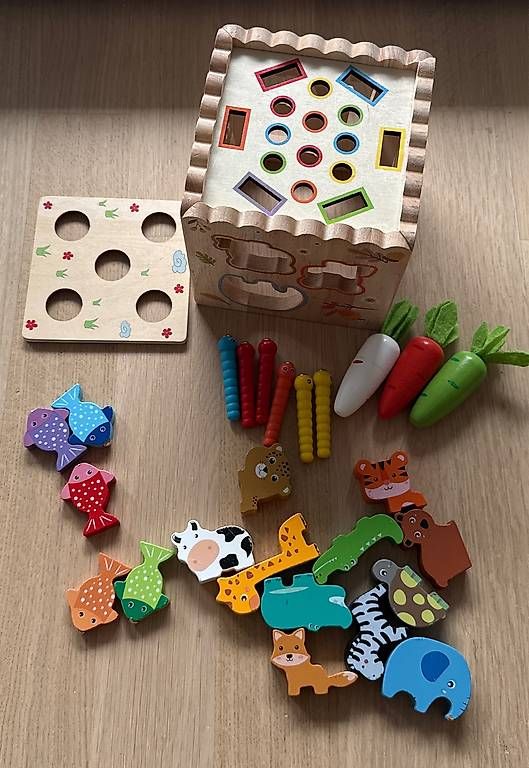 Spielzeuge: Montessori Steck-Spiel – Gebraucht aus Zug von Pimschayakan