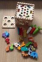 Montessori Steck-Spiel
