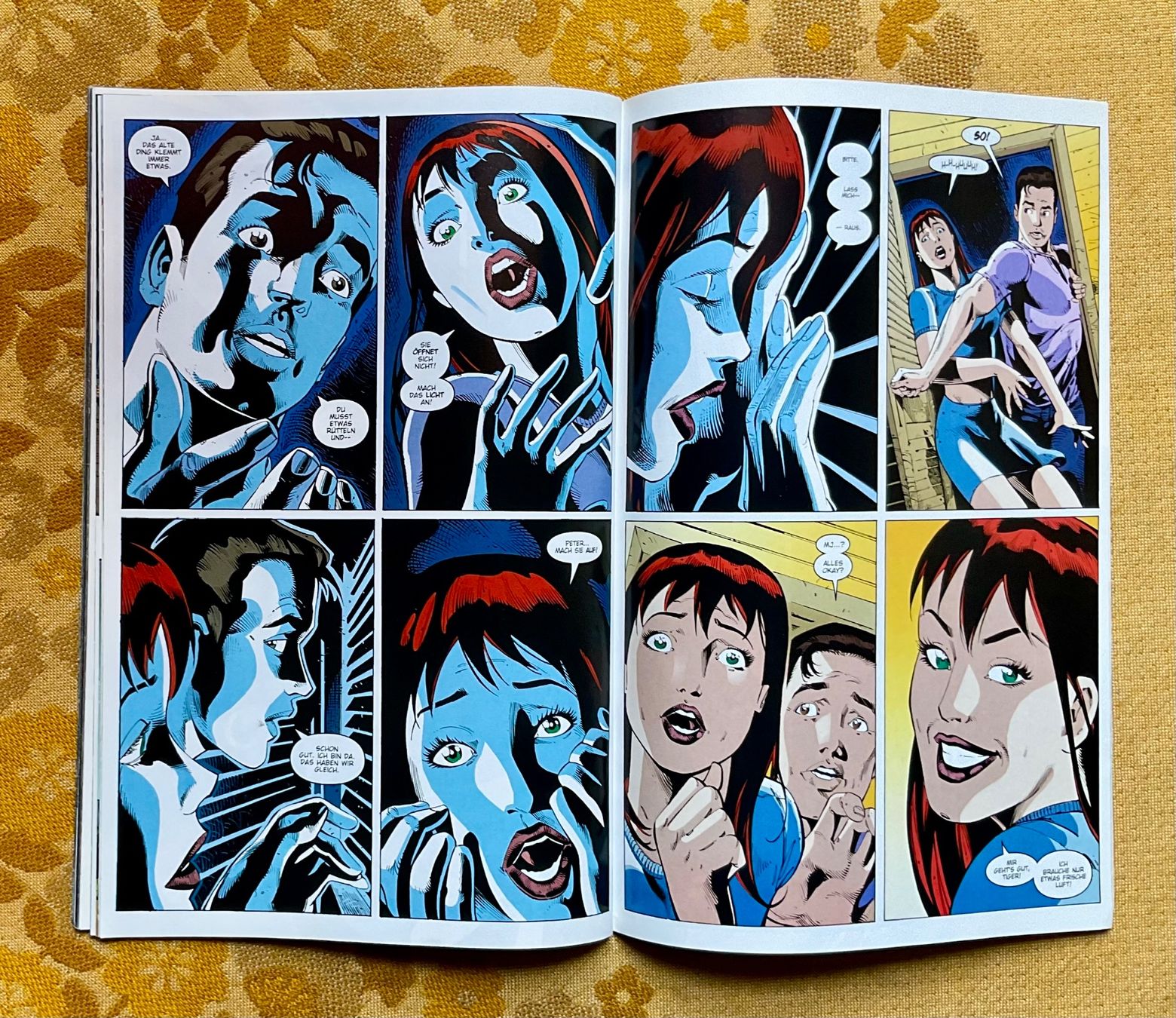 Comics: Peter Parker Spider-Man Heft Nr 17 von 2002 – Gebraucht aus Endingen von nathan05 7