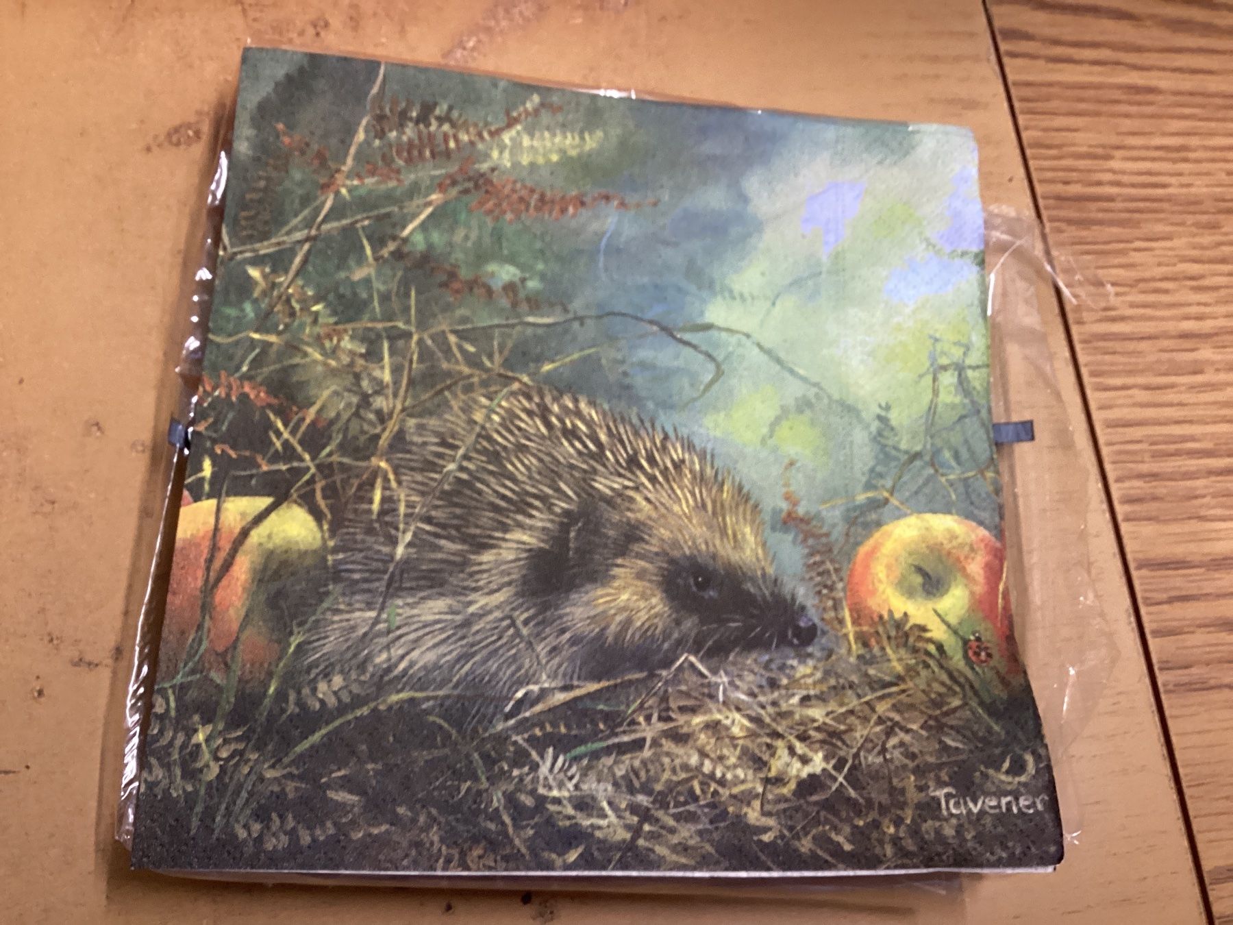 Migros Servietten: 15 Servietten Igel Herbst Deko neu – Gebraucht aus lyss von Dsll