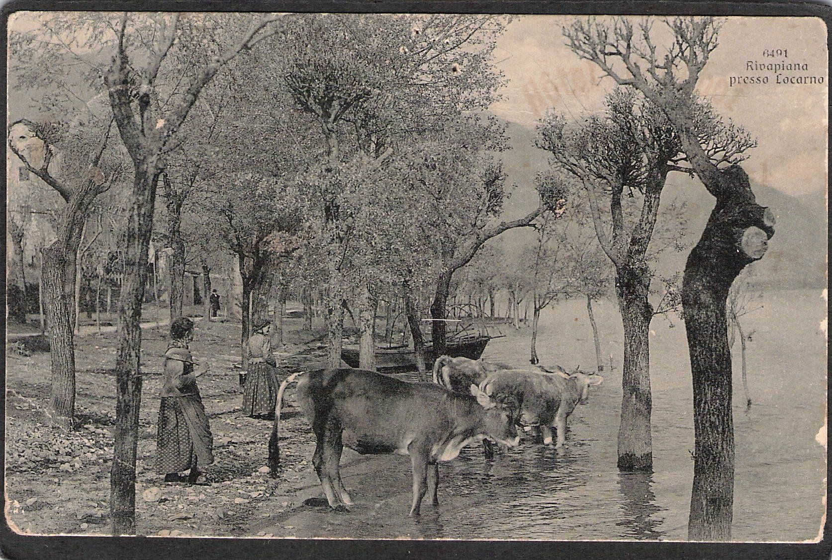 Cartoline postali: #Rivapiana presso Locarno – Usato da Reichenburg venduto da Pipo-67