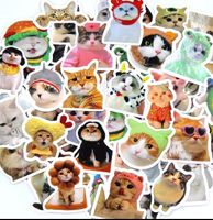 50 kleine Aufkleber Sticker - Katzen