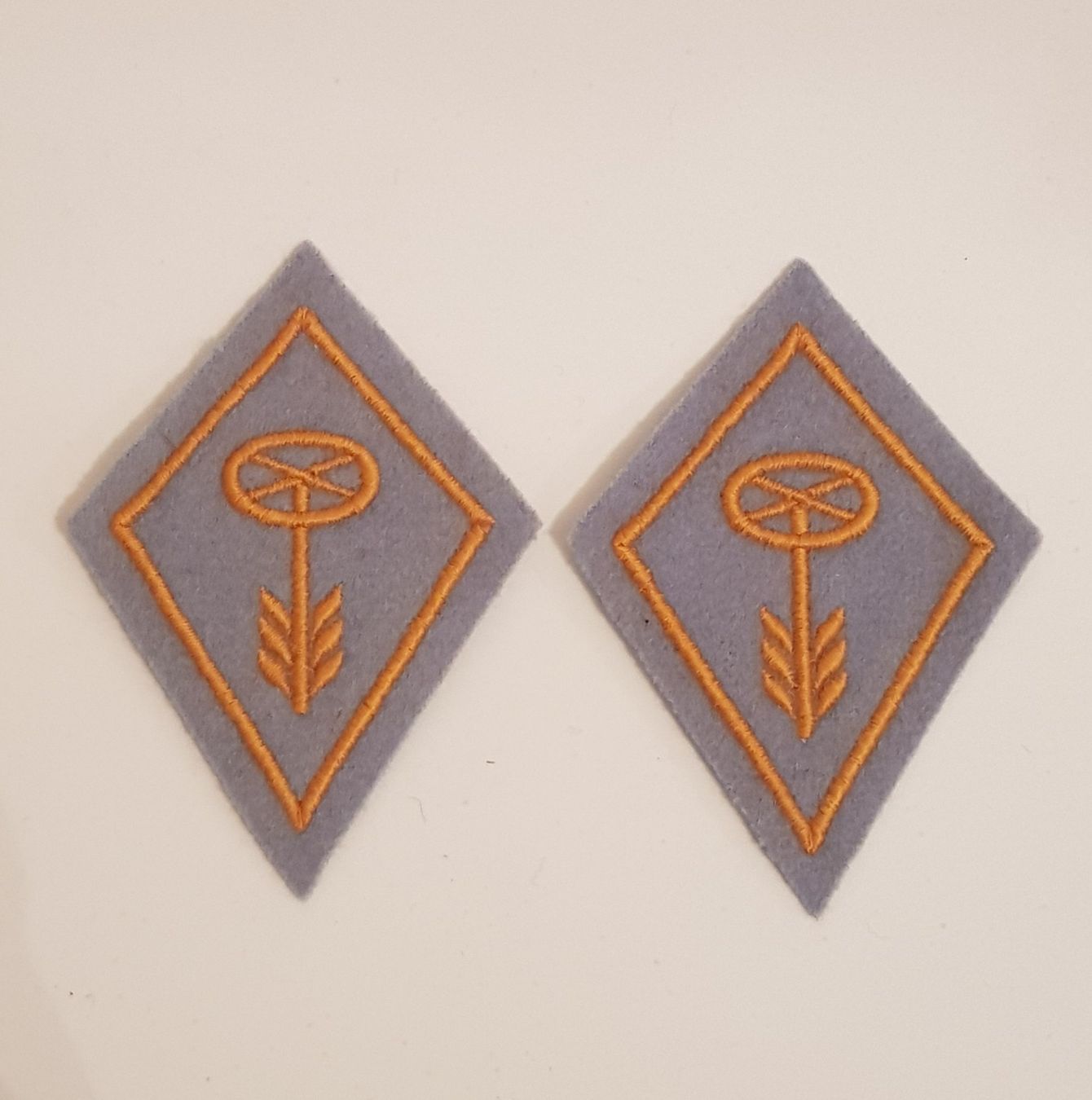 Schweizer Armee Patches: Kragenspiegel Schweizer Armee / Motorfahrer – Gebraucht aus Bern von Collins2