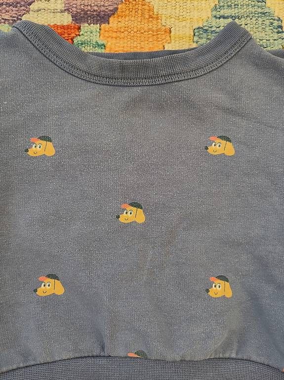 Pulls et sweat-shirts: Tinycottons 80/86 – D'occasion à Bottmingen par ili_7c8k 1