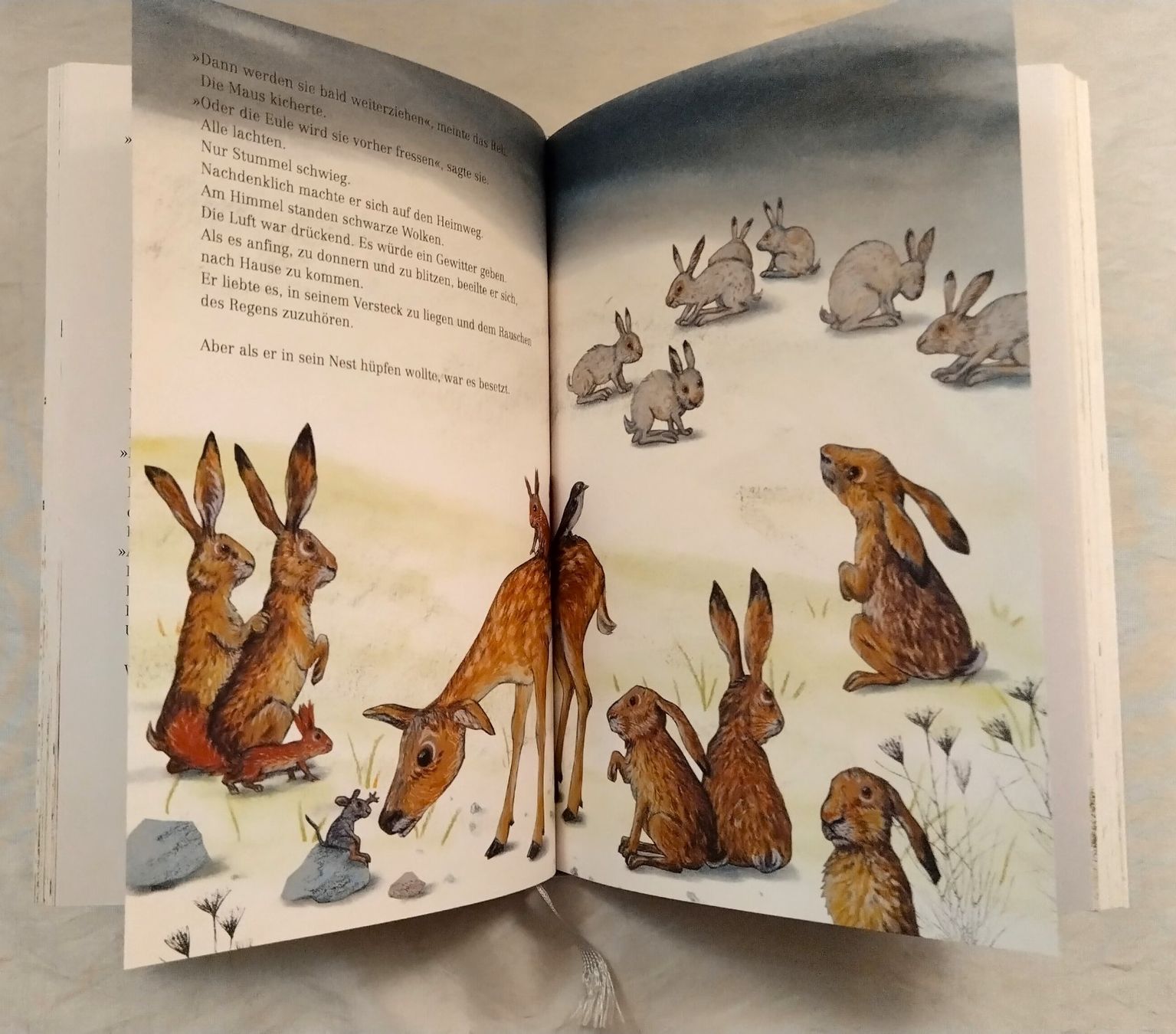 Bücher: Hase Stummel, ein Hasenkind wird gross / Kathrin Schärer – Gebraucht aus Bellach von JingleJerry 4