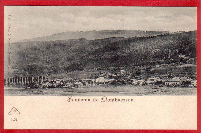 Cartoline postali: SOUVENIR DE DOMBRESSON 1900/05 – Usato da Grüningen venduto da Kartenlaube