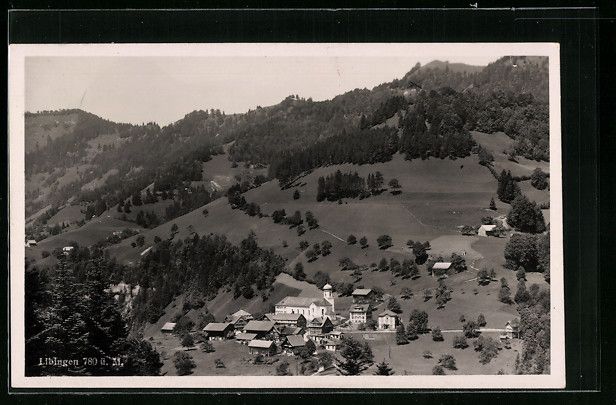 Cartoline postali: Libingen, Totalansicht aus der Vogelscha – Usato da Berlin venduto da bartko-reher
