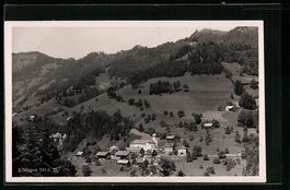 Libingen, Totalansicht aus der Vogelscha