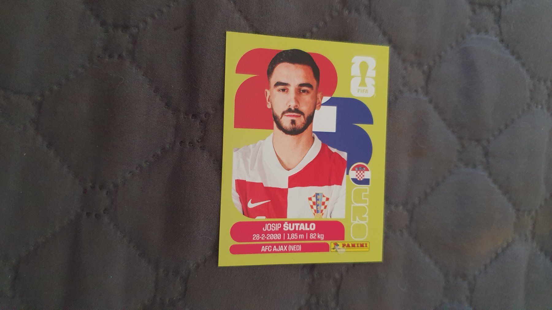 Panini Carte collezionabili: Panini WM 2026 - KRO 7 – Usato da Beromünster venduto da boeggy
