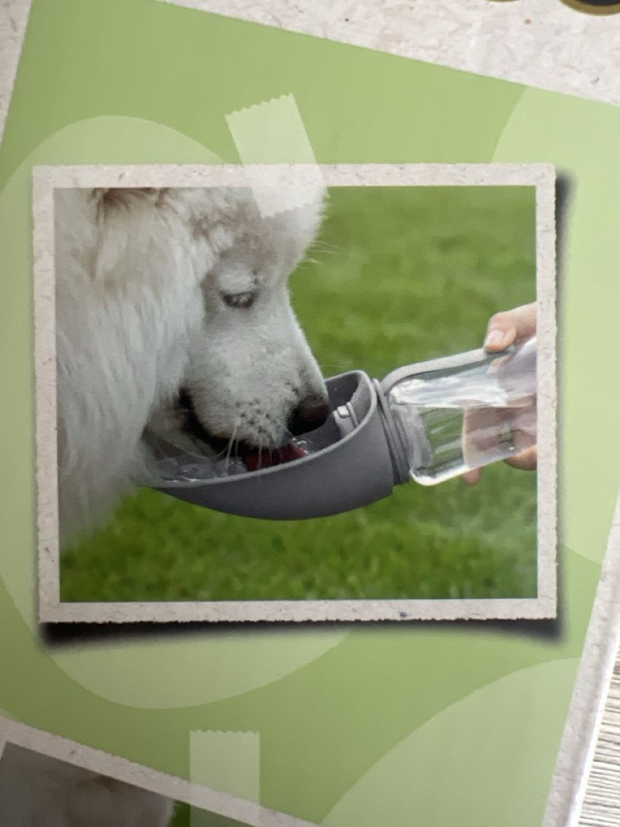 Borracce & Thermos: Hundetrankflasche 2in1 600ml neu – Nuovo e nell'imballaggio originale da Villmergen venduto da Elcus7 2