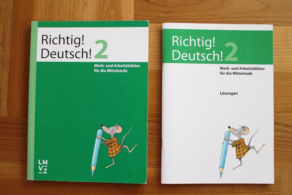 Richtig Deutsch! 2 Mit Lösungen / LMVZ | Kaufen Auf Ricardo