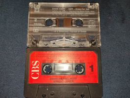 David Hasselhoff 2 MCs: Knight Lover & Crazy for You