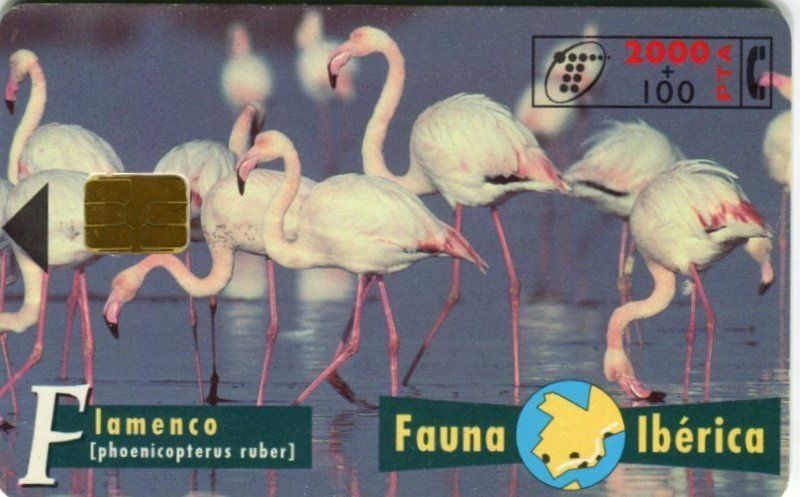 Telefon- & Taxkarten: Telefonkarte "Flamingo". Spanien. – Gebraucht aus Basel von Butsch5