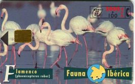 Telefonkarte "Flamingo". Spanien.