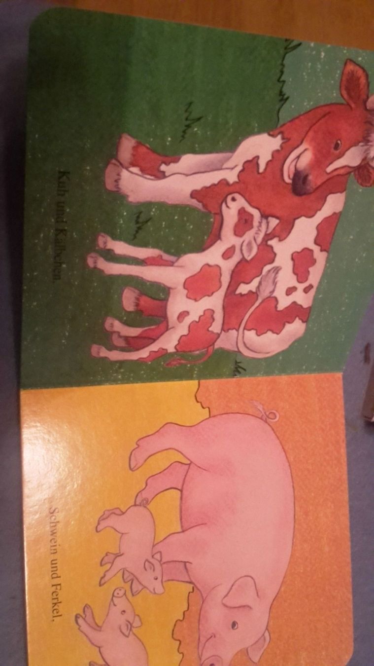 Libri: Buch auf dem Bauernhof – Nuovo (secondo la descrizione) da Schwarzenburg venduto da Flamingo07 1