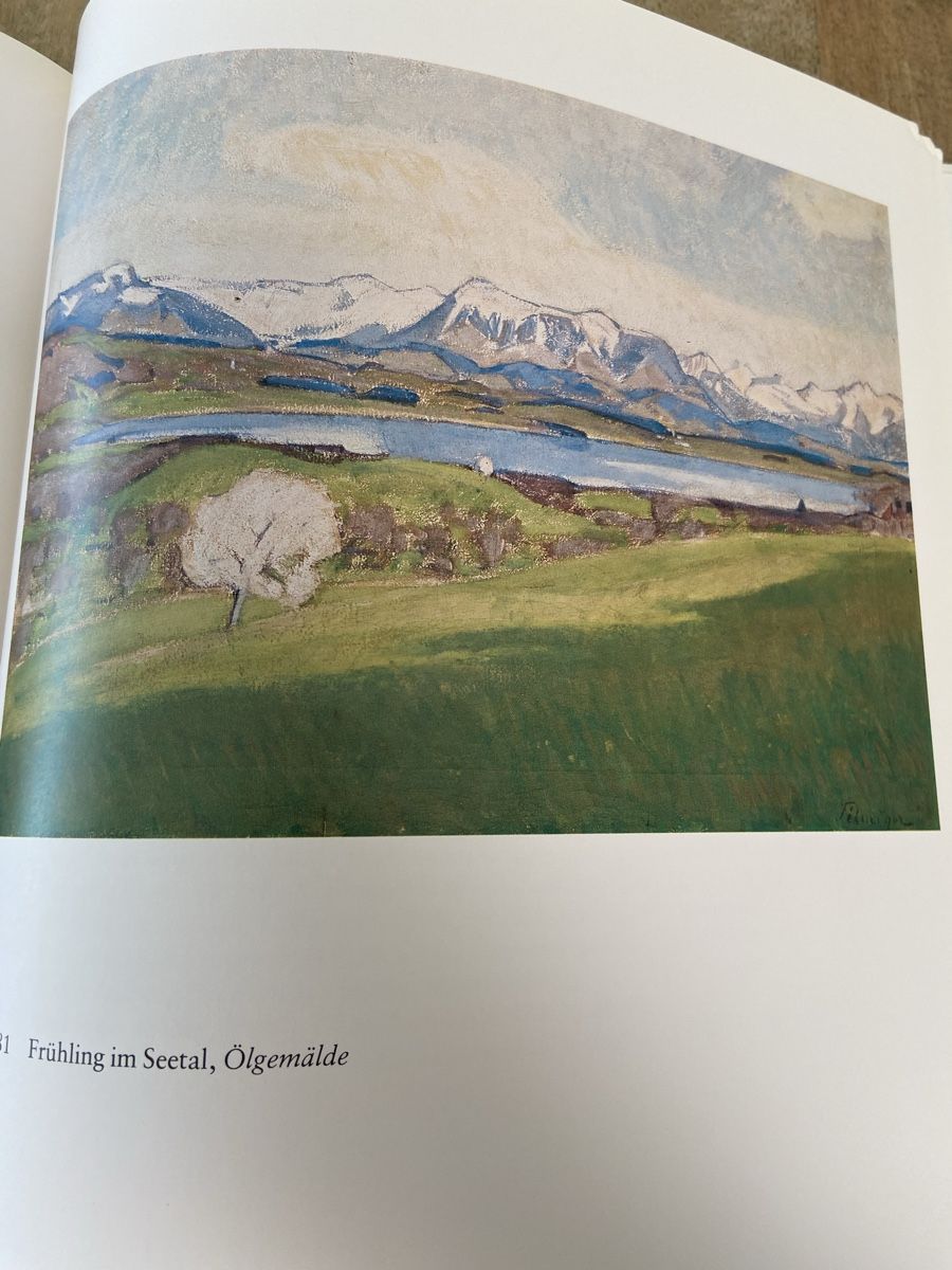 Libri: Franz Elmiger Ermensee  Maler Kunstbuch - Harlekin Verlag, – Usato da Luzern venduto da waterfront1 2