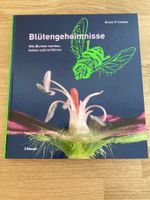 Blütengeheimnisse: Blumen werben,locken,verführen! Top! (54)
