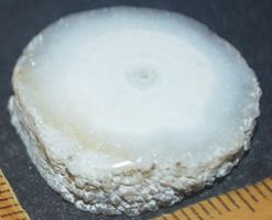 Cabochon L-894 – Weiße Fenster Druzy Achat Scheibe – 25x26mm