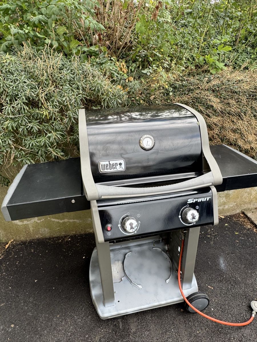 Griglie: weber spirit e-210 – Usato da Büsserach venduto da Brranko 3