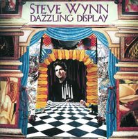 Steve Wynn – Dazzling Display, Blues Rock, CD, D10