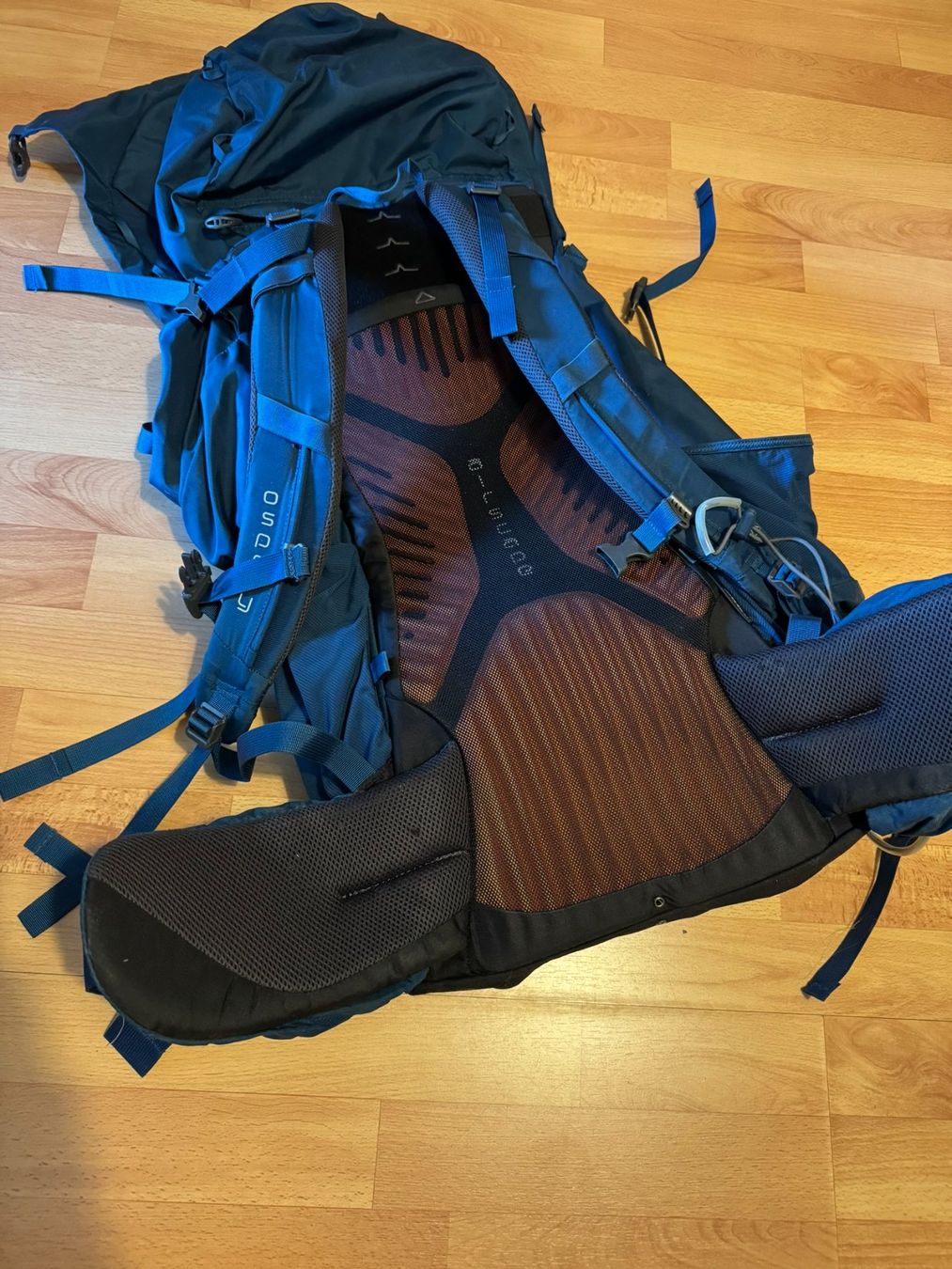 Osprey Rucksäcke: Backpack Osprey Kestrel L size 68 liters – Gebraucht aus Renens VD von romaroman 1
