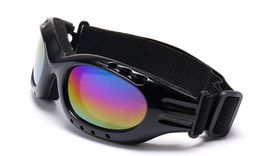 NEUE Sport-Brille mit Elastikband mit Tönung bunt - 224054