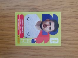 Panini NUL 5