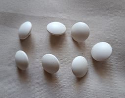 7 Stück Knöpfe, mattes weiss, 14 mm.