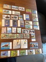 Briefmarken Sammlung Salomon Inseln, 50+ Stück!