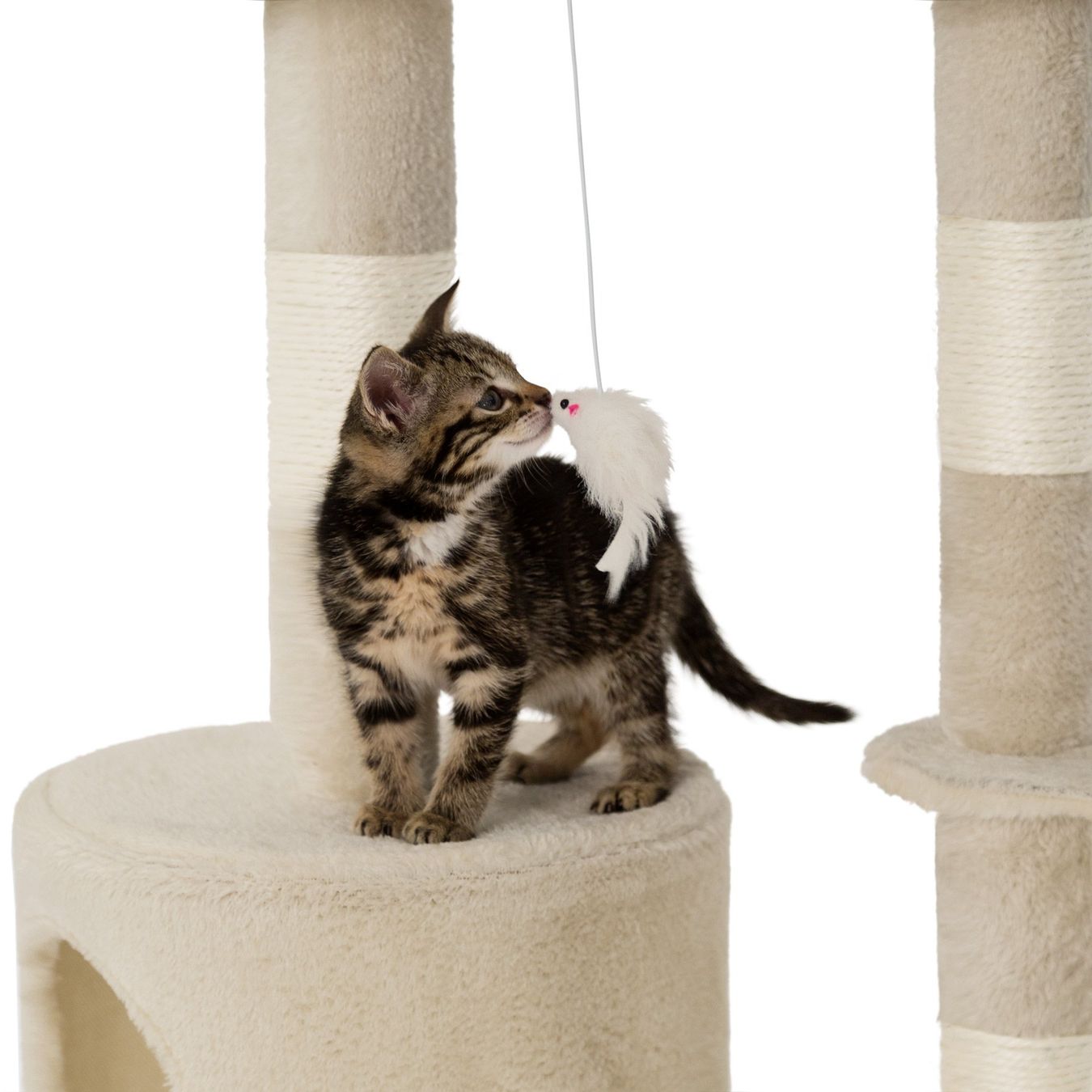 Katzenbaum - Kratzbaum: Kratzbaum Dominik 144cm, beige - Gratis Versand – Neu und originalverpackt aus Kleinwangen von Maluwa_GmbH 6