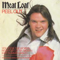 Meat Loaf Vinyl Single von 1981