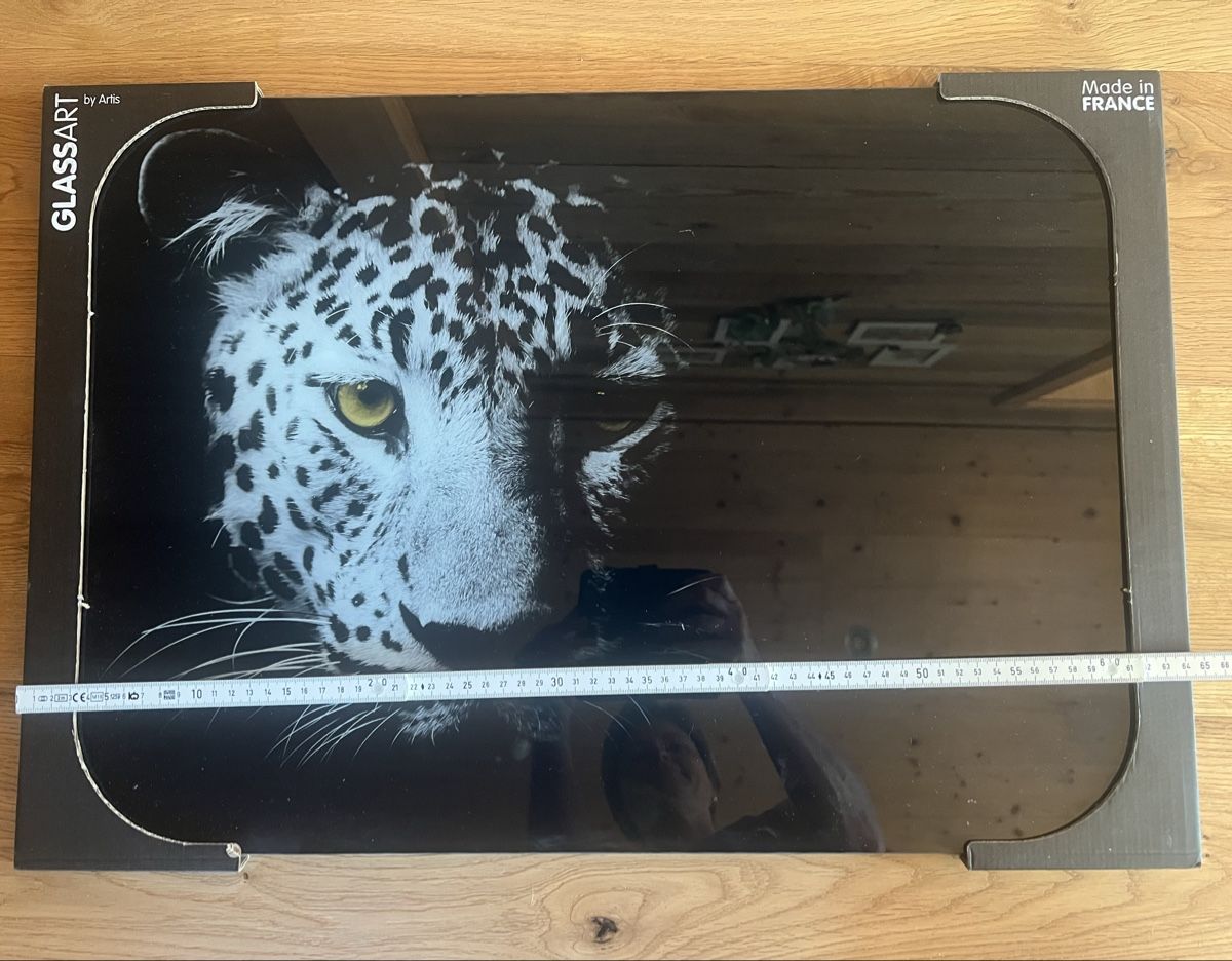 Foto & Immagini: Glasbild Leopard- Neuwertig! – Nuovo (secondo la descrizione) da Derendingen venduto da Laubfleckerli 2