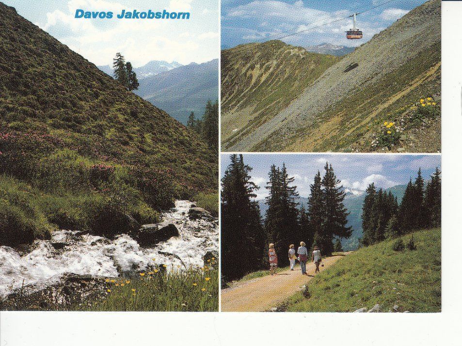 Cartoline postali: Davos 25 um 1995 – Usato da Bürglen TG venduto da StampGraf