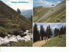 Davos 25 um 1995