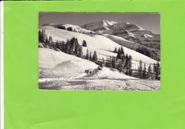 Lenk-Bühlberg, Skigelände, E. Gyger