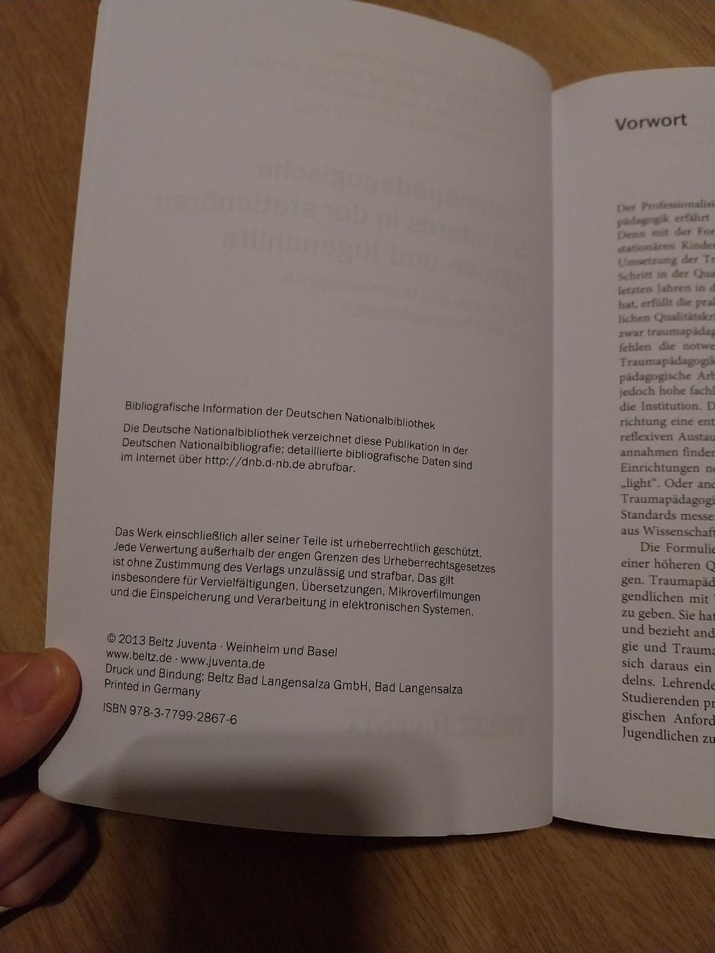 Libri: Traumapädagogik: Standards Kinder- und Jugendhilfe – Usato da Rorschach venduto da Mitsch38 2