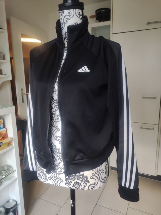 Traineranzug adidas hotsell