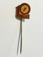 1 Anstecknadel Chemion