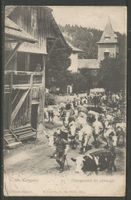 Carte P de 1907 ( St. Cergue / Changement de pâturage )