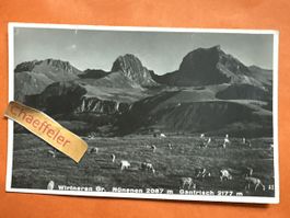 Wintneren Gr. Nünenen, Gantrisch