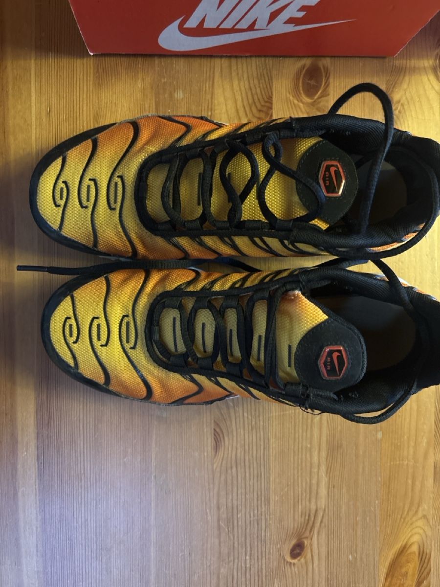 Nike Scarpe per ragazzi: Nike Tn Tiger 38.5  – Usato da Neuchâtel venduto da mascara01 1